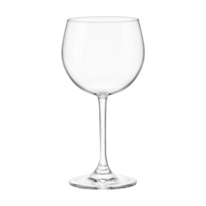 RISERVA BAROLO COPA VINO 48 cl