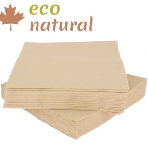 SERVILLETA 33X33 ECONATURAL PUNTA PUNTA