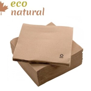 SERVILLETA 20X20 ECONATURAL PUNTA PUNTA